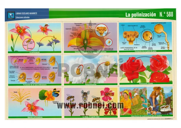 La Polinizacion